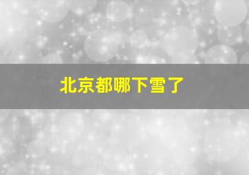 北京都哪下雪了