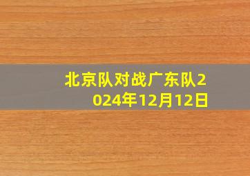 北京队对战广东队2024年12月12日