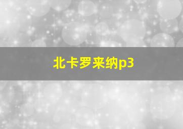 北卡罗来纳p3