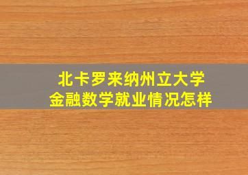 北卡罗来纳州立大学金融数学就业情况怎样