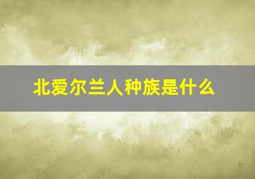 北爱尔兰人种族是什么