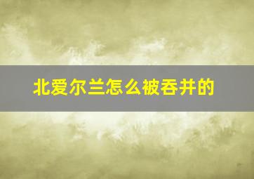 北爱尔兰怎么被吞并的