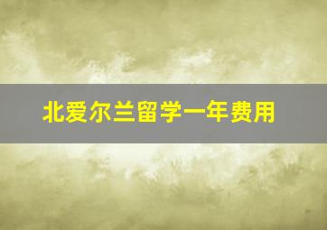 北爱尔兰留学一年费用