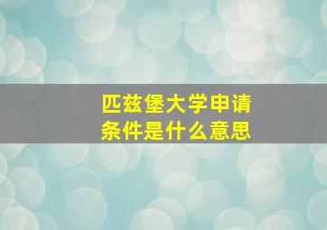 匹兹堡大学申请条件是什么意思