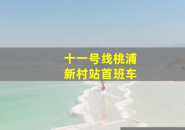 十一号线桃浦新村站首班车