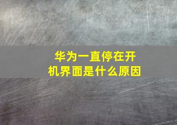 华为一直停在开机界面是什么原因