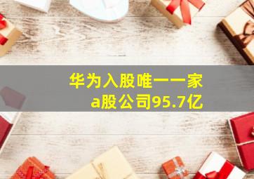 华为入股唯一一家a股公司95.7亿