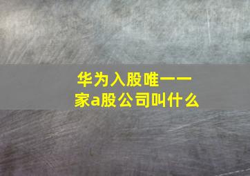 华为入股唯一一家a股公司叫什么