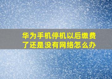 华为手机停机以后缴费了还是没有网络怎么办