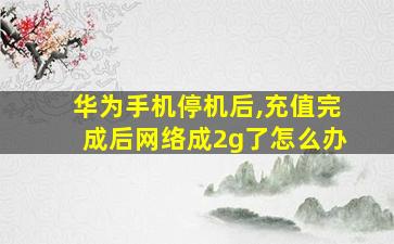 华为手机停机后,充值完成后网络成2g了怎么办