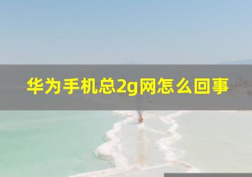 华为手机总2g网怎么回事