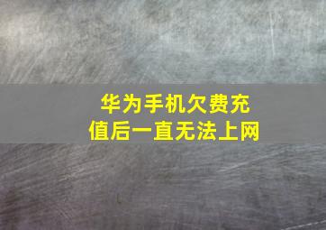 华为手机欠费充值后一直无法上网