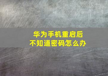 华为手机重启后不知道密码怎么办