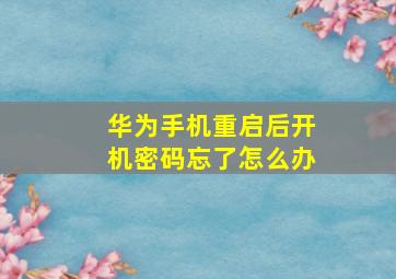 华为手机重启后开机密码忘了怎么办