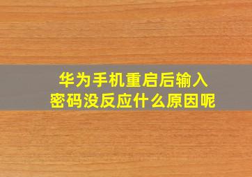 华为手机重启后输入密码没反应什么原因呢