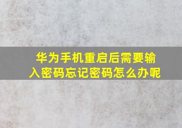 华为手机重启后需要输入密码忘记密码怎么办呢