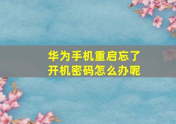 华为手机重启忘了开机密码怎么办呢