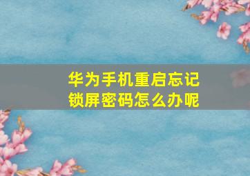 华为手机重启忘记锁屏密码怎么办呢