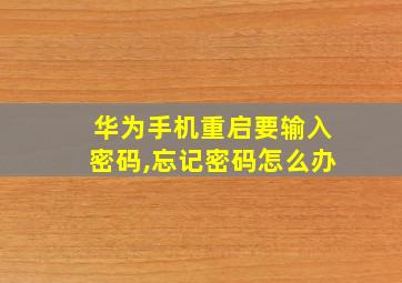 华为手机重启要输入密码,忘记密码怎么办