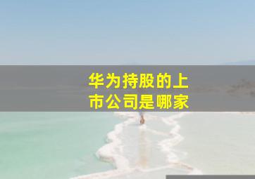 华为持股的上市公司是哪家