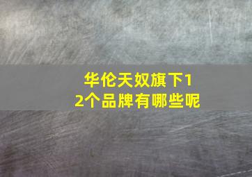 华伦天奴旗下12个品牌有哪些呢