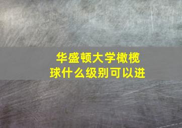 华盛顿大学橄榄球什么级别可以进