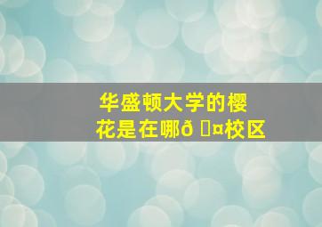 华盛顿大学的樱花是在哪𠆤校区