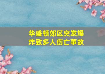 华盛顿郊区突发爆炸致多人伤亡事故