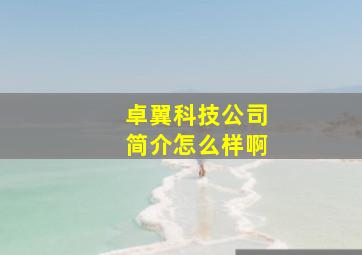 卓翼科技公司简介怎么样啊