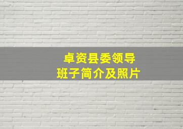 卓资县委领导班子简介及照片