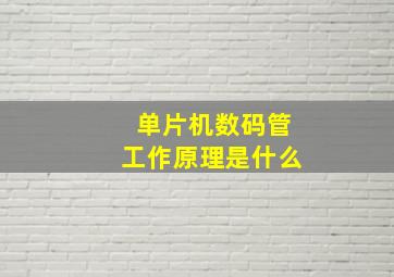 单片机数码管工作原理是什么