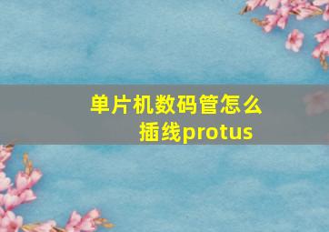 单片机数码管怎么插线protus