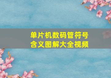 单片机数码管符号含义图解大全视频