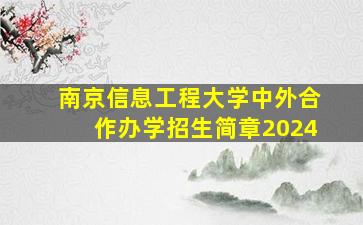 南京信息工程大学中外合作办学招生简章2024