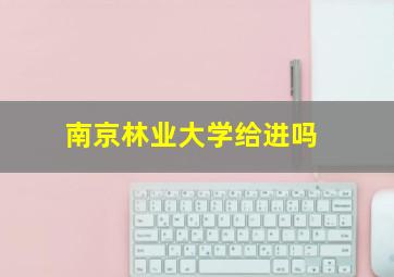 南京林业大学给进吗