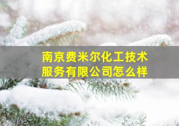 南京费米尔化工技术服务有限公司怎么样