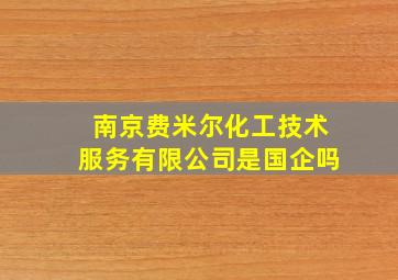 南京费米尔化工技术服务有限公司是国企吗