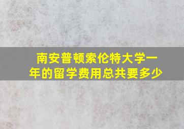 南安普顿索伦特大学一年的留学费用总共要多少