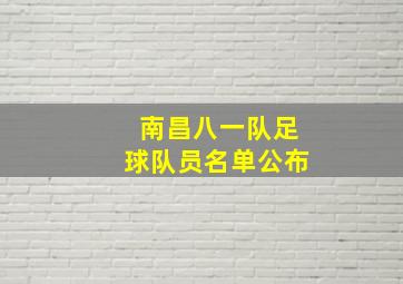 南昌八一队足球队员名单公布