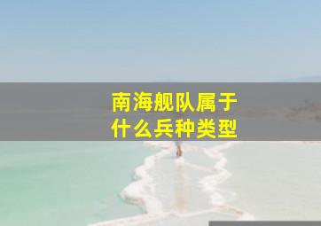 南海舰队属于什么兵种类型