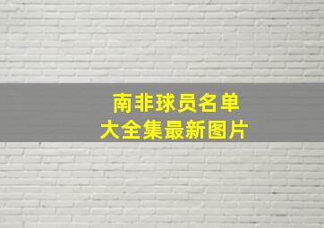 南非球员名单大全集最新图片