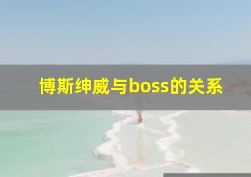 博斯绅威与boss的关系