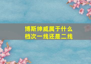 博斯绅威属于什么档次一线还是二线