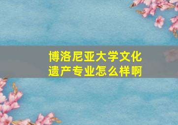 博洛尼亚大学文化遗产专业怎么样啊