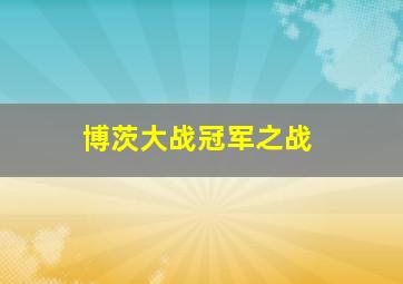 博茨大战冠军之战