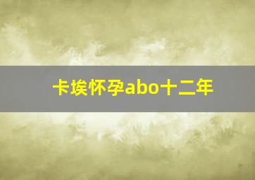 卡埃怀孕abo十二年