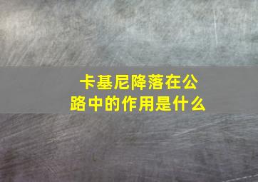 卡基尼降落在公路中的作用是什么