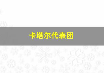 卡塔尔代表团