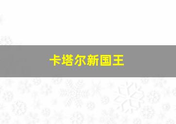 卡塔尔新国王