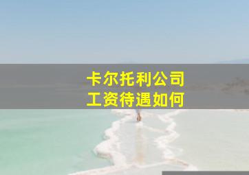 卡尔托利公司工资待遇如何